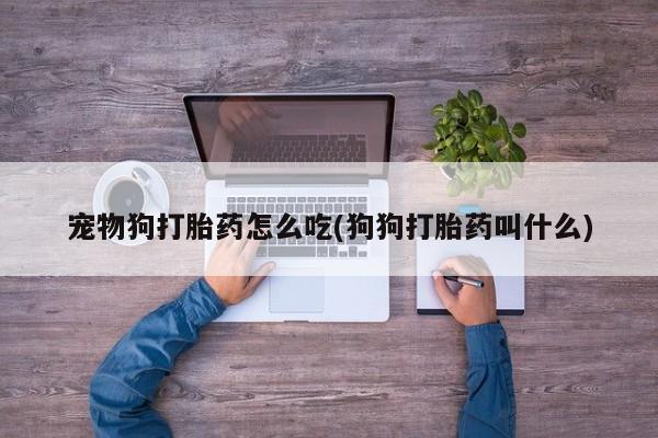 网上购买打胎药联系方式宠物狗打胎药怎么吃(狗狗打胎药叫什么)