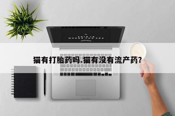 网上购买打胎药联系方式猫有打胎药吗.猫有没有流产药？