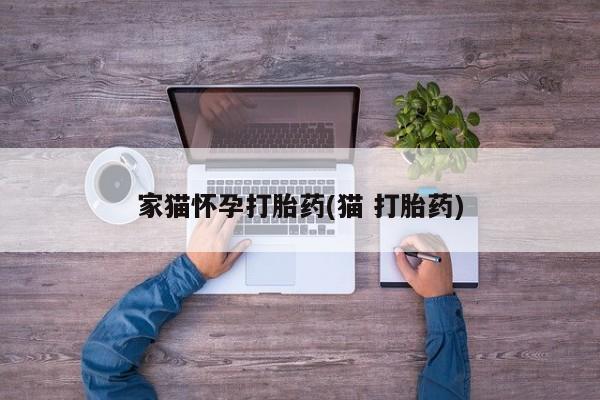 网上购买打胎药联系方式家猫怀孕打胎药(猫 打胎药)